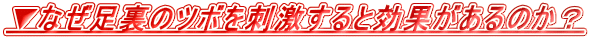 ▼なぜ足裏のツボを刺激すると効果があるのか?